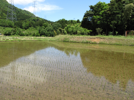 20140517hike (16)